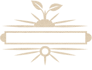 SDT